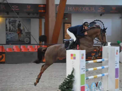 Commerce et valorisation de chevaux de sport